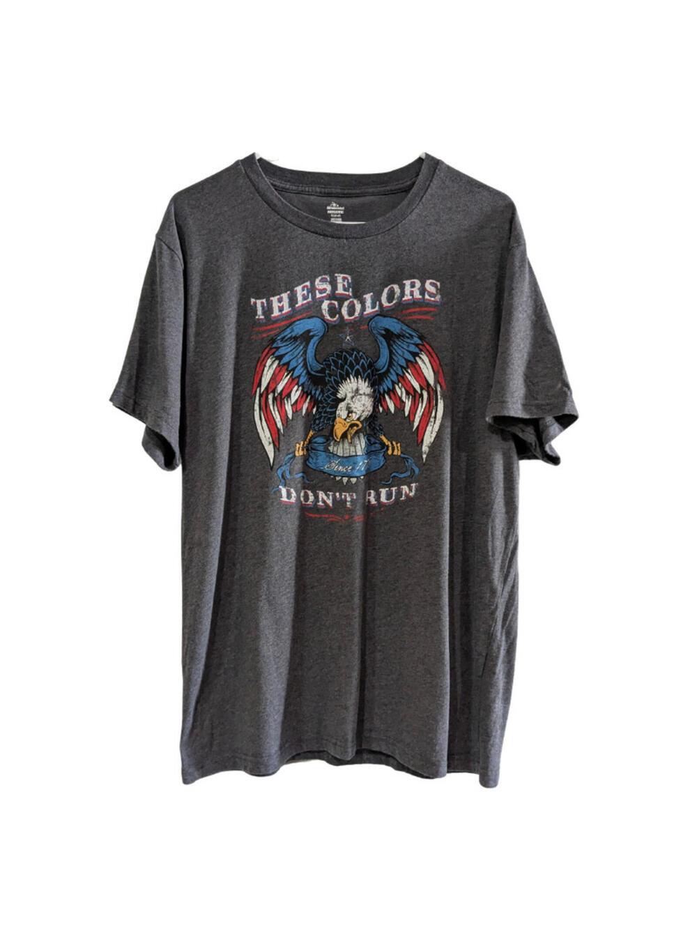 These Colors Don't Run Men's Graphic T-Shirt, Gray, Size XL (46-48) Cotton Blend